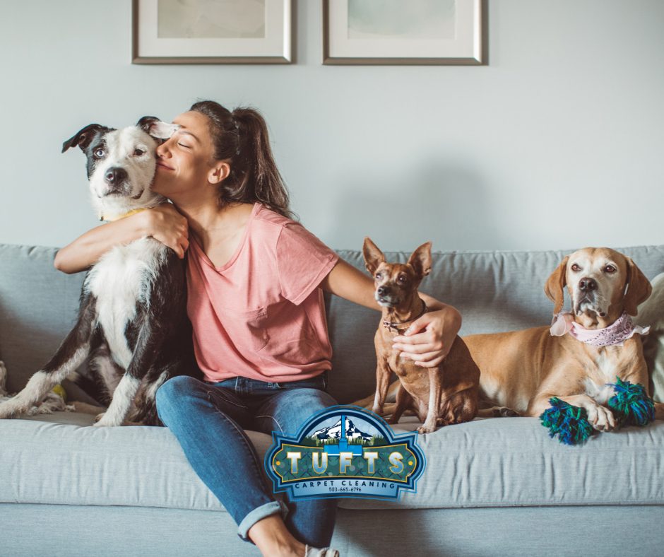 Woman with three dogs on freshly cleaned upholstery - professional furniture cleaning in Gresham Oregon